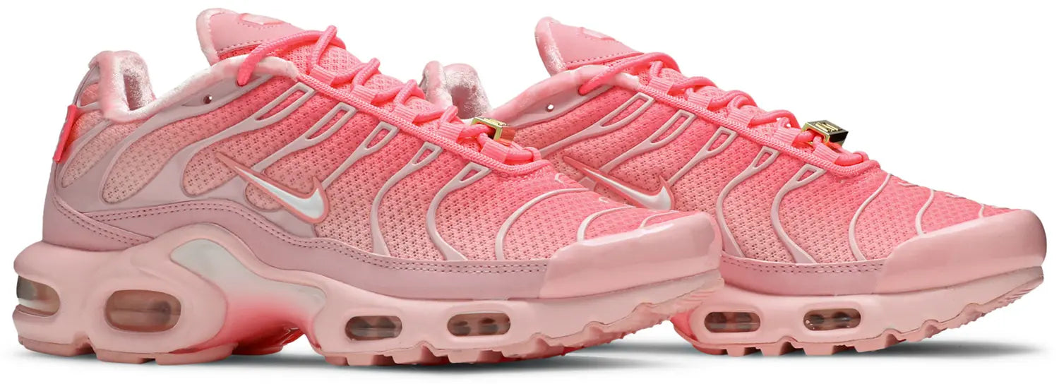 Nike - Air Max Plus (TN) - Air Max Plus Atlanta - Vue 5